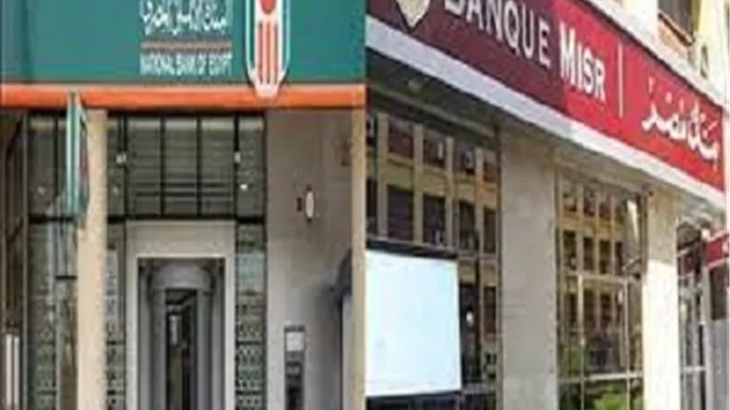 تفاصيل طرح شهادات 25 % في بنك القاهرة ووقفها في «الأهلي ومصر»
