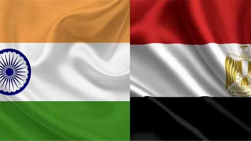 خبير اقتصادى: 52 شركة هندية تستثمر في مصر