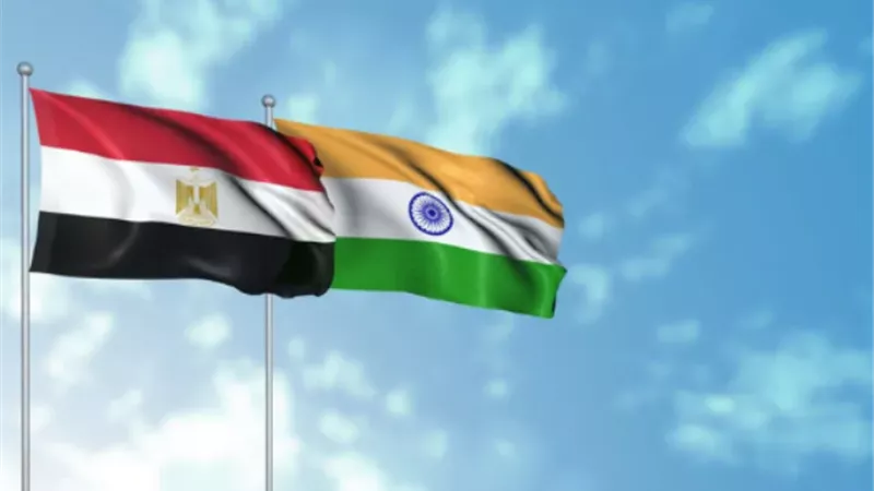 خبير: التبادل الاقتصادي بين مصر والهند تجاوز 7.5 مليار دولار