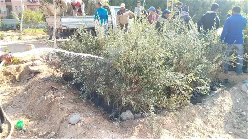 النجار يعلن تفاصيل زراعة ٣٠٠٠ شجرة مثمرة بمدينة 6 أكتوبر.. بالصور