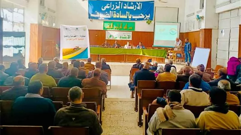 تنفيذ المدارس الحقلية مع المزارعين للوصول لاعلي انتاجية بالمنيا