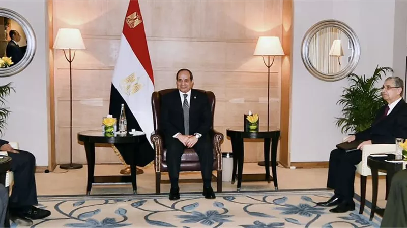 الرئيس السيسي يؤكد لرئيس شركة 
