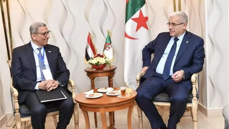 وكيل النواب يلتقى رئيس المجلس الوطنى الجزائرى