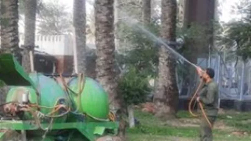 مقاومة حشرة النمل الابيض وفحص ورش النخيل بالمنتزة