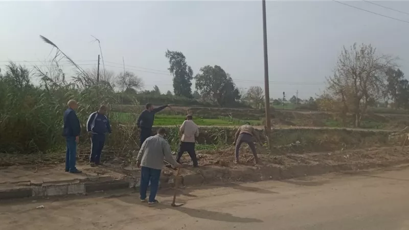 مبادرات مجتمعية بقرية كفر الجزار ببنها للتجميل والتشجير