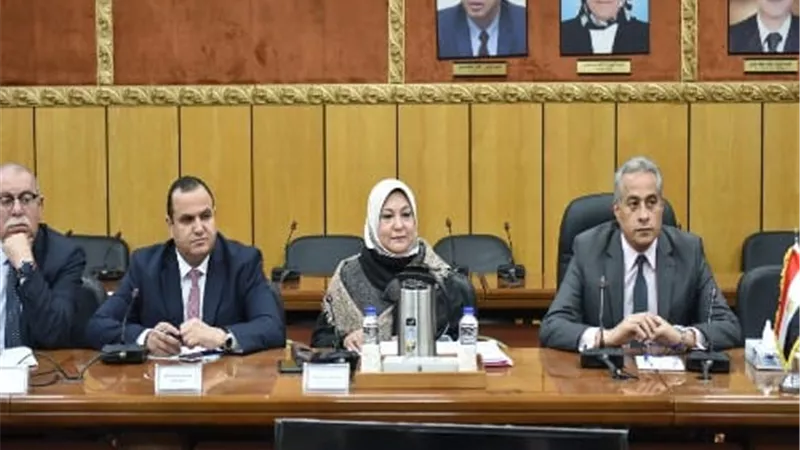 وزير القوى العاملة يلتقى وفدا من وزارة الموارد البشرية السعودية