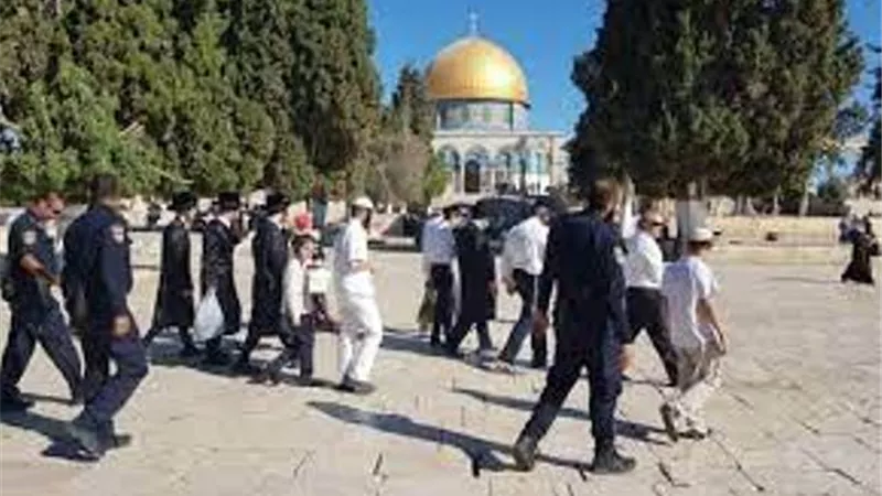 مستوطنون يقتحمون الأقصى .. والاحتلال يعتقل طفلا بـ القدس