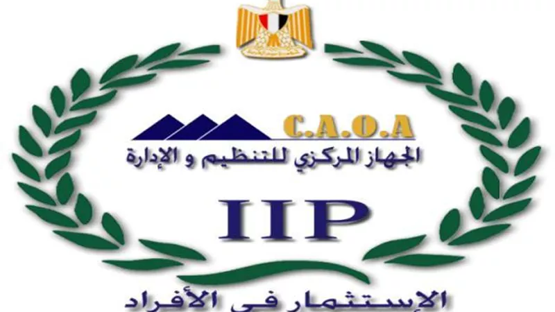 التنظيم والإدارة: الأوقاف تتعاقد مع 1000 إمام مسجد وخطيب ومدرس