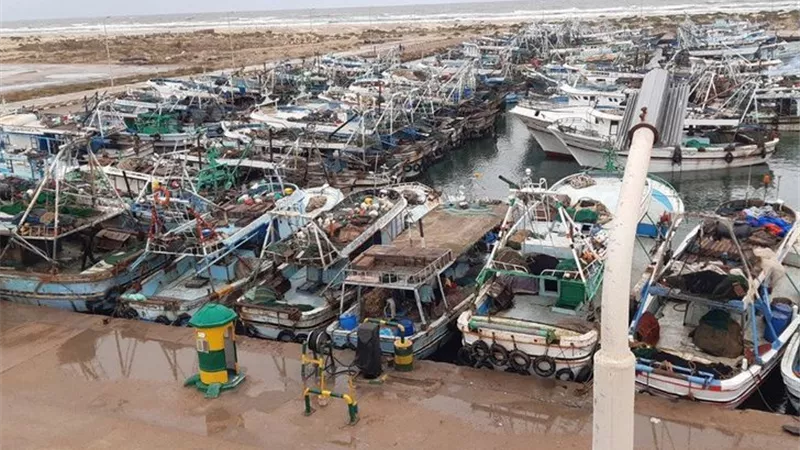 إغلاق ميناء الصيد ببرج البرلس لسوء الأحوال الجوية