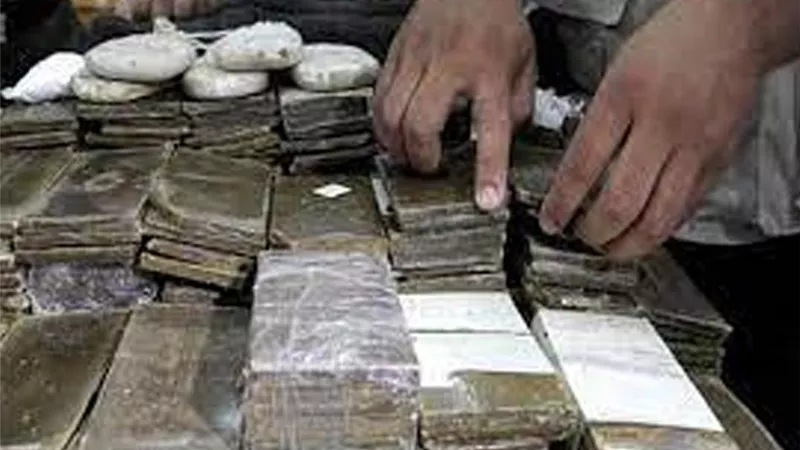 الداخلية: تنفيذ 81 ألف حكم قضائي وضبط 332 قضية مخدرات