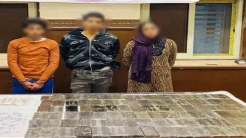 ضبط 3 أشخاص بـ حشيش وهيروين في المنوفية