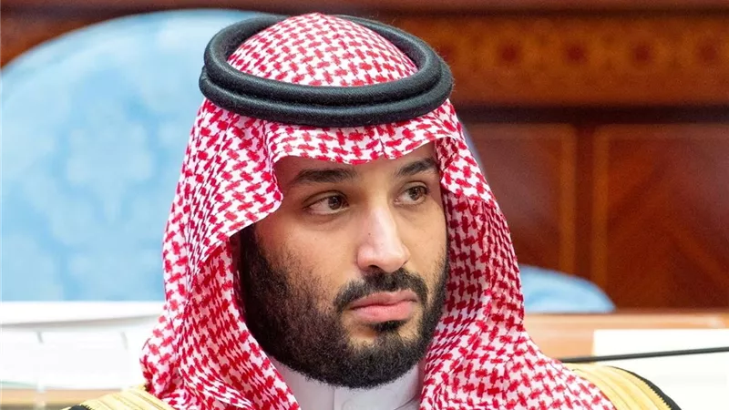 ولي العهد السعودي ووزيرة خارجية فرنسا يبحثان سبل دعم العلاقات
