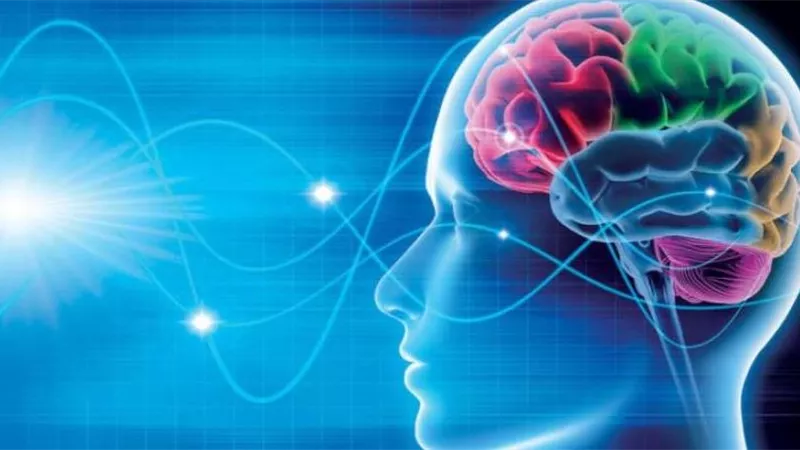 دراسة تكشف عن وظائف جديدة لأجزاء من 