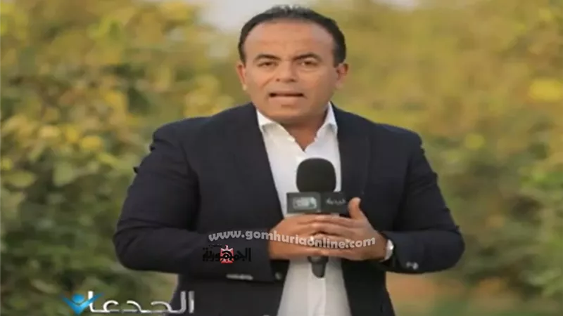 الزراعة تبدأ حصر مساحات القمح بالمحافظات.. فيديو