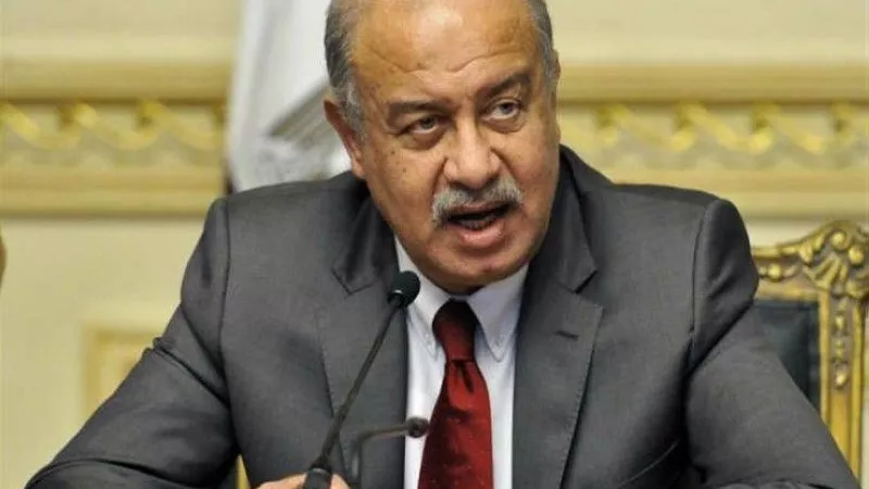 وزير الخارجية ينعى الدكتور شريف إسماعيل رئيس وزراء مصر السابق