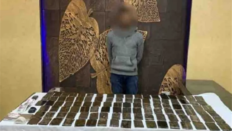 ضبط شخص بـ10 كيلو هيروين وآيس في المنوفية