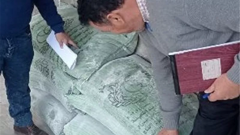 حملات تفتيشية ورقابية مفاجئة على المخابز بالزقازيق