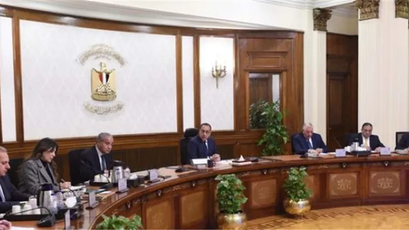 مدبولي يوجه الزراعة والتموين بالإعلان عن سعر ضمان للذرة والصويا