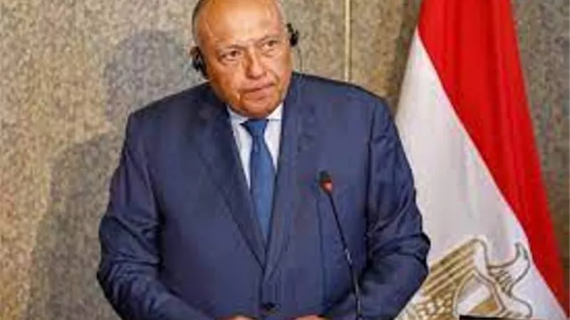 مصر تعزى تركيا فى ضحايا الزلزال وتقدم مساعدات لمواجهة الازمة