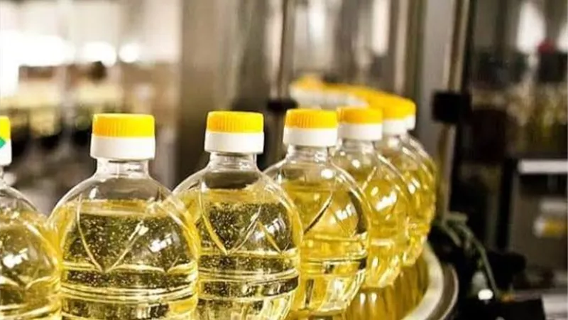 إنفوجراف.. توجيهات الحكومة للتوسع في إنتاج الزيت الخام محليا