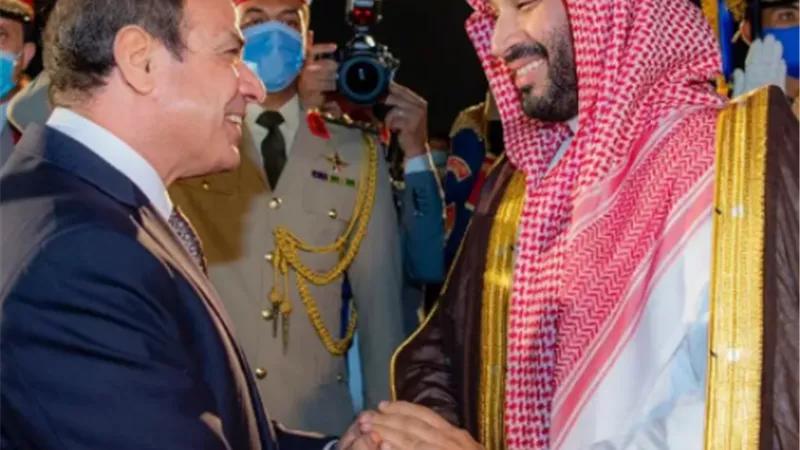 #السعوديه_مصر_واحد.. مغرد مصرى للحاقدين : تحيا أرض الحرمين
