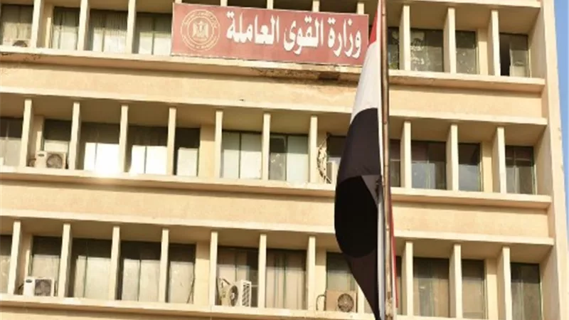 القوى العاملة توفر فرص عمل للشباب بالإسكندرية
