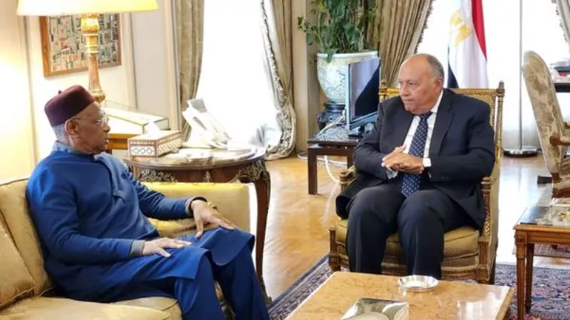 شكرى يستقبل الممثل الخاص للأمين العام للأمم المتحدة إلى ليبيا