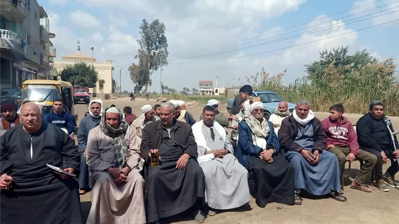 ندوة لمزارعي عزبة الباشا بالزقازيق عن حماية محصول القمح
