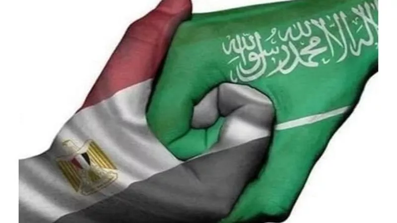 عزت إبراهيم: التنسيق المصرى السعودى أسفر عن تراجع مؤشرات الإرهاب