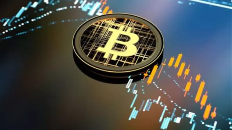 ارتفاع سعر
