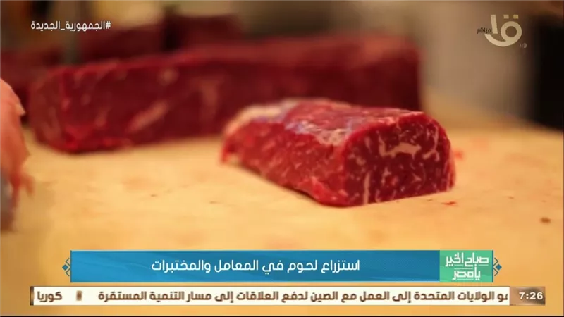 «صباح الخير يا مصر» يعرض تقريرا عن استزراع اللحوم في المعامل