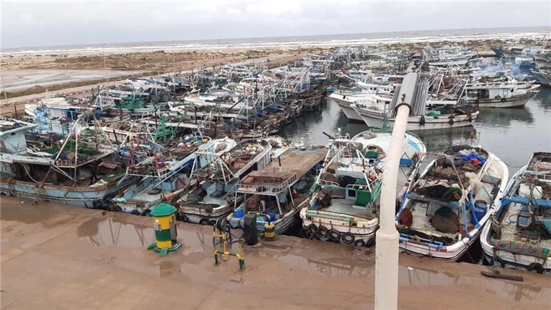 توقف حركة الملاحة في ميناء الصيد والبحر المتوسط بكفر الشيخ