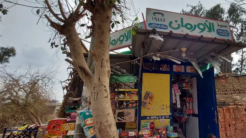 مساعدات مالية لتمويل مشروعات صغيرة للأسر الأولى بالرعاية