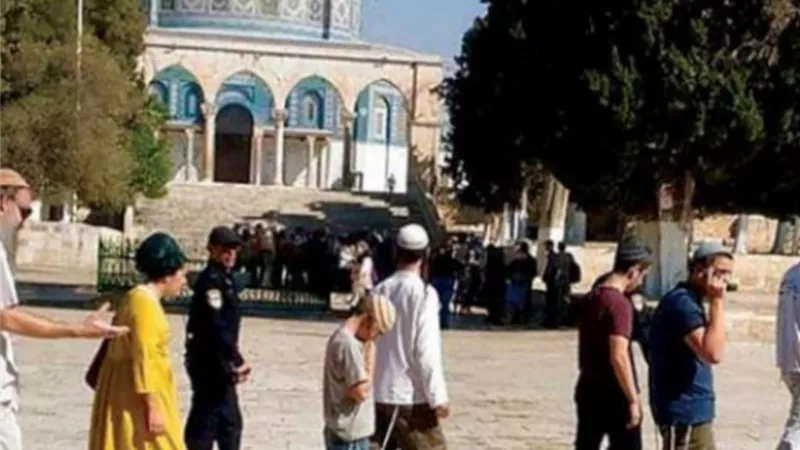 مقتل وإصابة 8 إسرائيليين في عملية دهس بالقدس.. والاحتلال يواصل الاعتداءات ضد الفلسطينيين