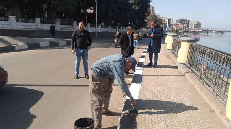 رفع 310 طن قمامه و 45 طن اتربه من شوارع المنصورة