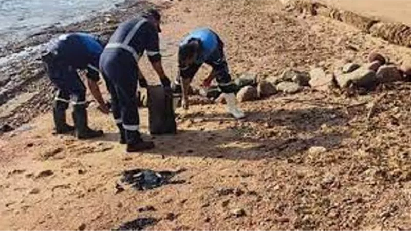 مشروعات حماية الحياة البحرية بالبحر الأحمرتنعش السياحة المائية