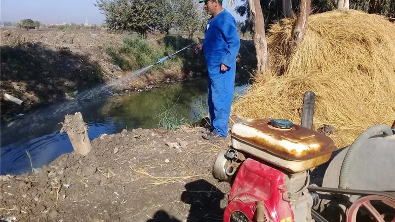 صحة الشرقية:إستمرار النشاط المكثف لمكافحة الذباب وناقلات الأمراض