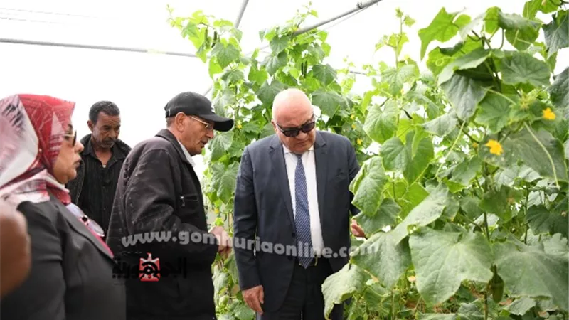 محافظ قنا يتفقد مشروعات الأمن الغذائي بالمعنا