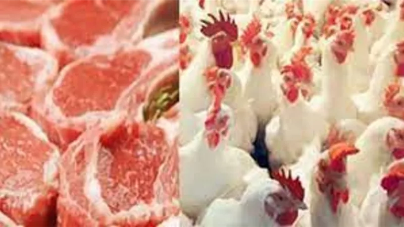 انخفاض أسعاراللحوم و الدواجن ..عميد زراعة عين شمس يعلن الموعد