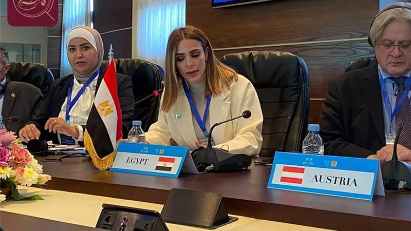 النائبه فاطمه سليم فى مؤتمر بالمغرب: