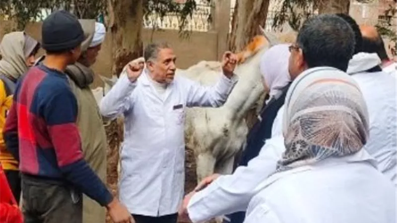 تحصين 104 الف طائر بالشرقية ضد مرض الانفلونزا
