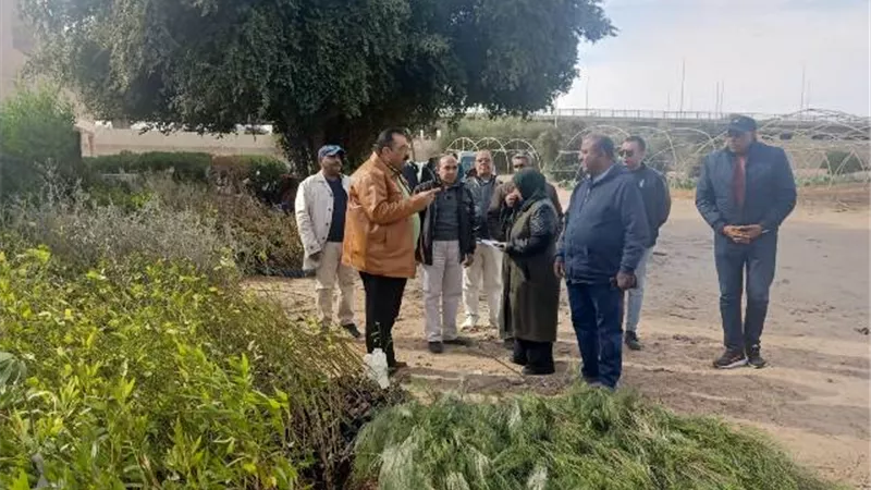 لجنة تنسيقية بسفاجا لغرس وزراعة 5475 شجرة مثمرة