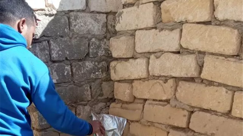 صحة السويس تواصل حملاتها لمكافحة الحشرات والقوارض