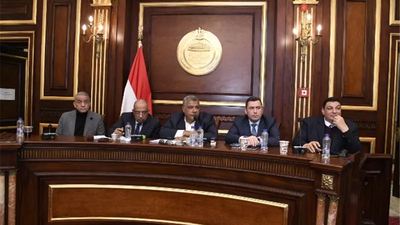 وزير قطاع الاعمال: ضخ استثمارات بالشركات لمعالجة المشكلات المتراكمة