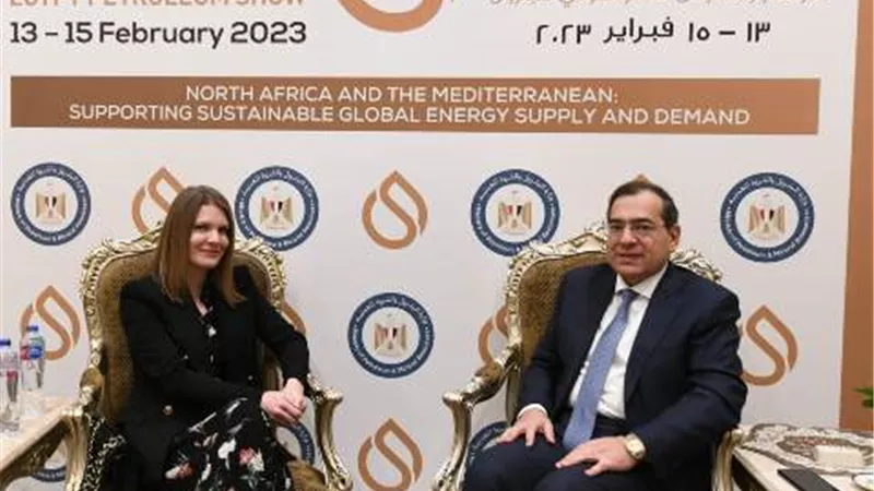 وزير البترول يستعرض مستجدات الهيدروجين الأخضر للانتقال الطاقى