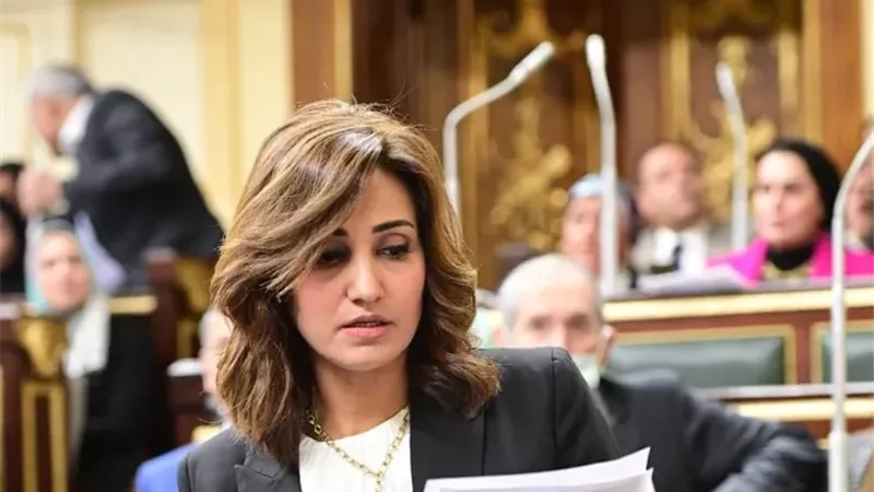 نجاتي: اتفاقيات التنقيب عن البترول والغاز تساهم في توفير فرص العمل