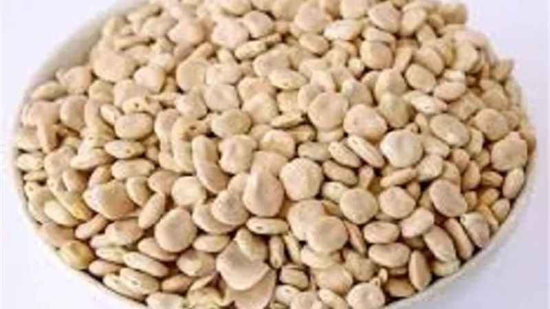 الفرق بين الترمس الحلو والمر