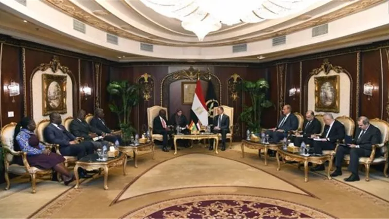 توفيق يستقبل وزير الأمن القومى بغانا لبحث التعاون بين البلدين