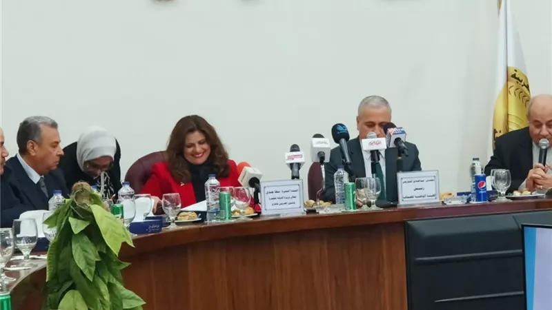 جندى: شبكات علي مدار الساعة لتلقي شكاوى المصريين بالخارج