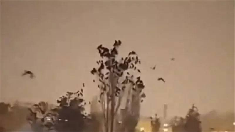 اليك ابرز خرافات شائعة يتداولها الناس عن وقوع الزلازل.. لا تصدقها